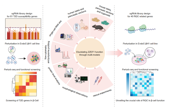 1773897510136267.png ff424ad3fc60193c685217785fdee500.png