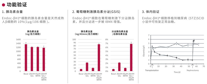 1773897519124185.png aaa0f60b0a386469ff367cfaedbe1a20.png