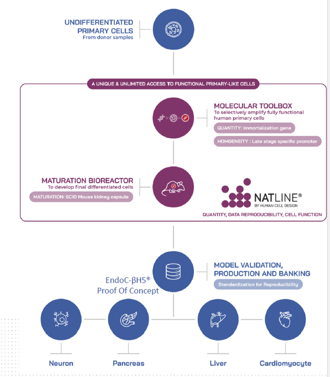 1776043196916980.png a05b365a6801dae36209400516fdff01.png