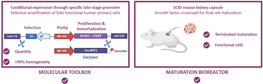 1776043271948317.png 75798bcb51169d8fd026ca3ee177040d.png