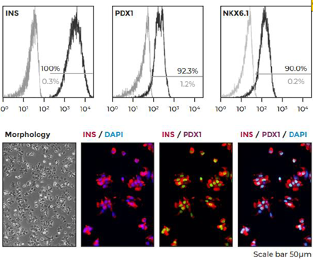 1776043286360921.png 02b51867f60c27d9ca09a82a1d6b00f1.png