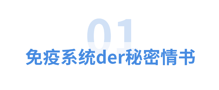 微信图片_20250731085113.png