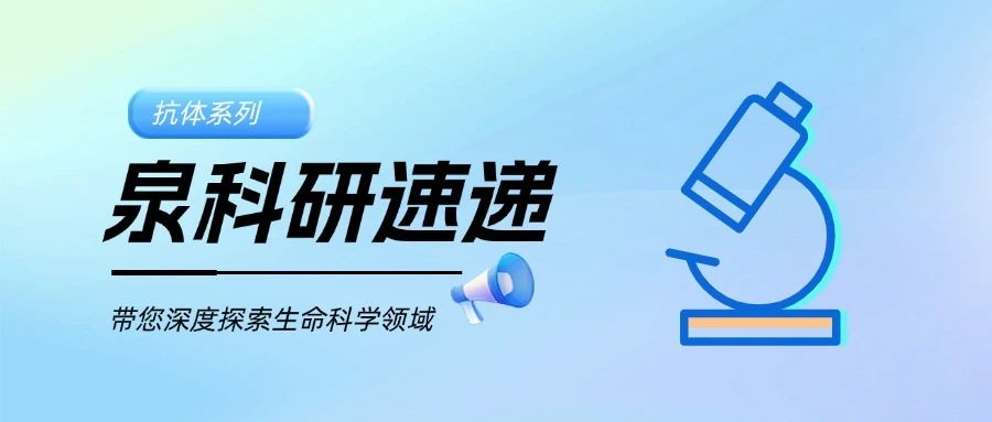微信图片_20250731094850.jpg