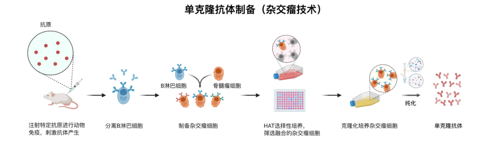 微信图片_20250731094904.png