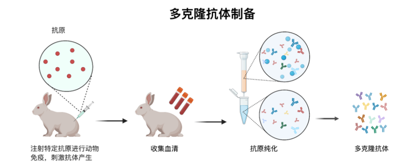 微信图片_20250731094907.png
