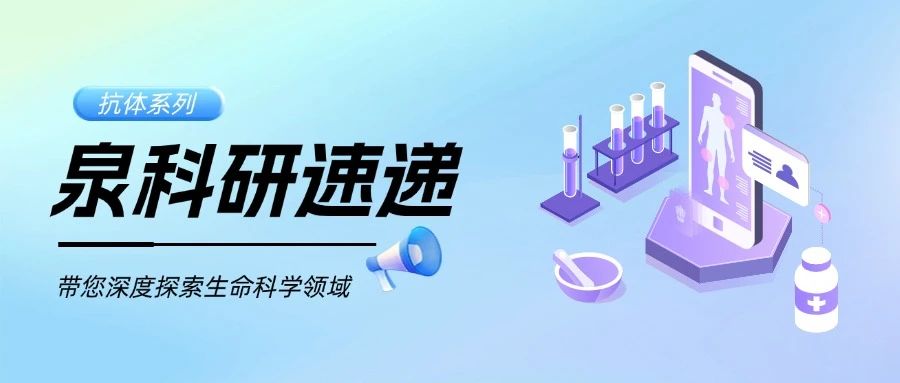 微信图片_20250731105420.jpg