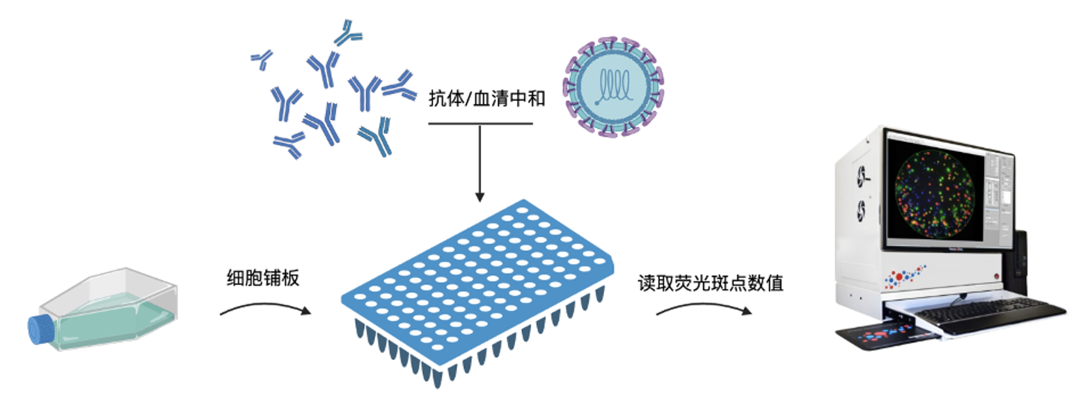 微信图片_20250801085906.png