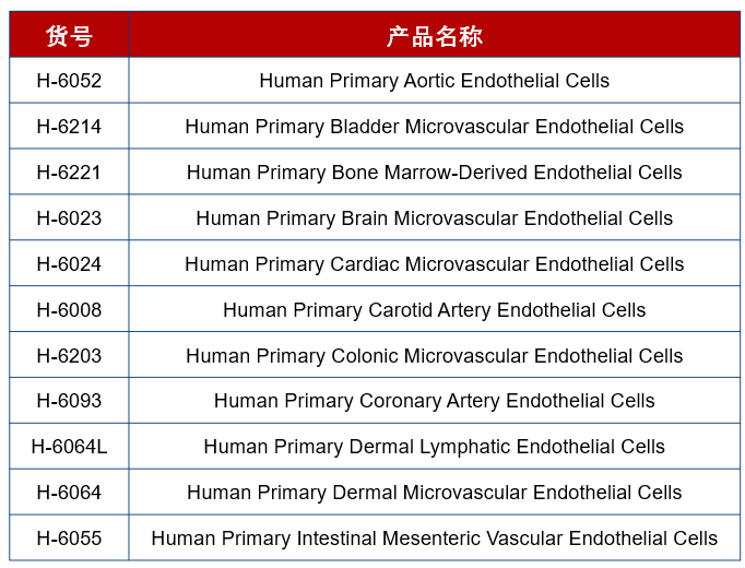 微信图片_20250801091446.png