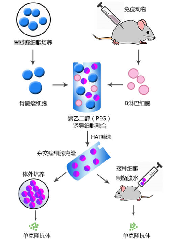 微信图片_20250801095543.png