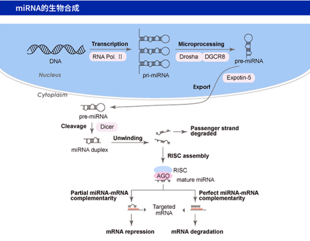 微信图片_20250805095037.png