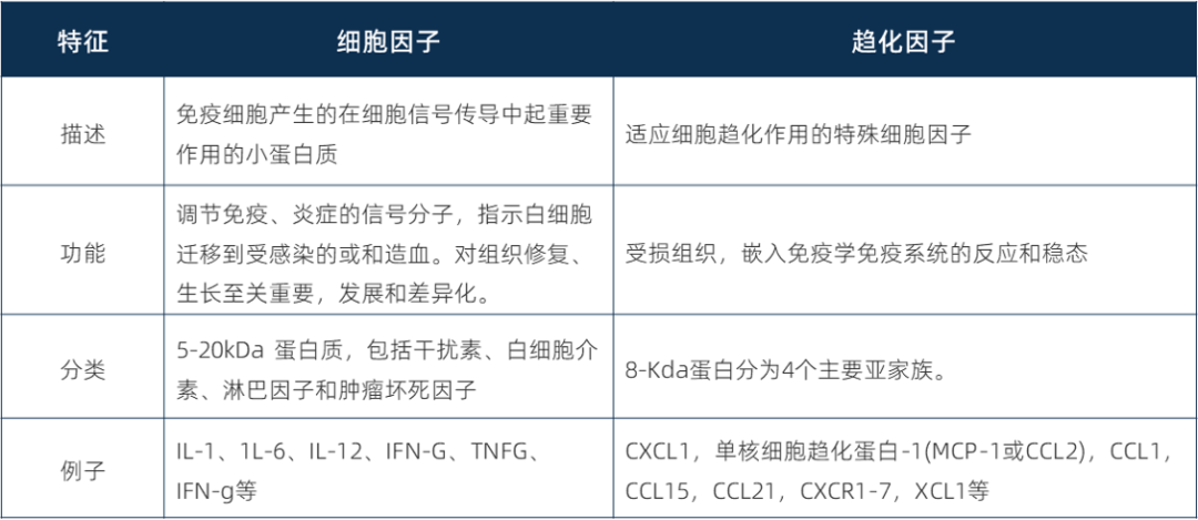 微信图片_20250805133500.png