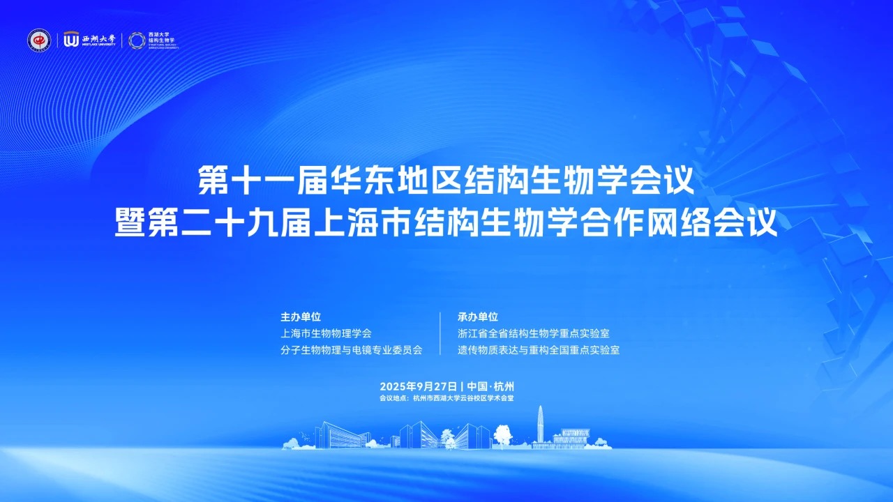 网络会议1.webp