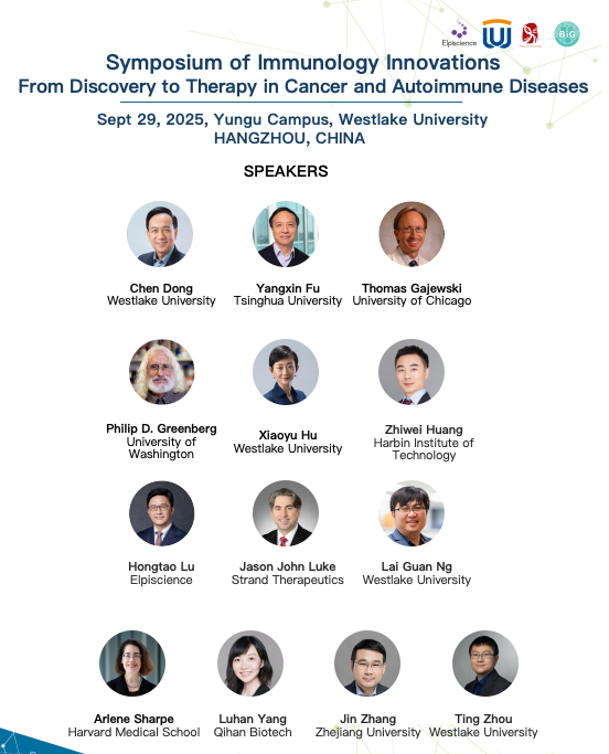 1769653065342920.png fd5038606c70afdc2b2773b09d3ff83e.png